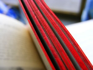 biblioteca 213 copy.jpg